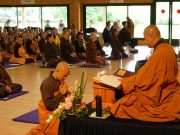 Làng mai Pháp: Khoá tu 21 ngày 2018 “Tri kỷ của Bụt”