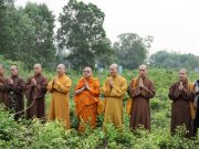 Ban Văn hóa Trung ương nghiên cứu và khảo sát thực tế Di tích Phật viện Đồng Dương