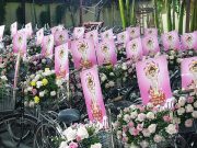 TP.HCM: Chùm ảnh Không khí chuẩn bị lễ diễu hành xe hoa của Phật giáo Quận Phú Nhuận