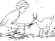 Truyện thơ Tiền thân Đức Phật: Nai gió và cỏ mật