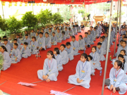 Khóa tu mùa hè “Thức tỉnh mục đích sống” tại chùa Phổ Châu, Duy Xuyên, Quảng Nam