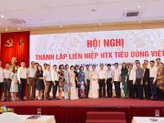 Hà Nội: Ra mắt Liên hiệp HTX tiêu dùng Việt Nam