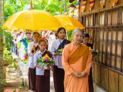 Vĩnh Long: Lễ dâng y tu nữ Cīvarapūjā tại chùa Như Pháp