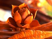 Đứng ở góc độ của đối phương để nhìn nhận vấn đề