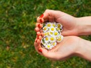 2 điều ngay lập tức mang lại niềm vui và hạnh phúc