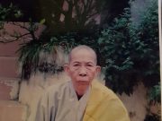 Hải Phòng: Ni trưởng Thích Đàm Nhã tân viên tịch