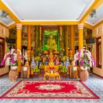 tinh xa ngoc hoa (16)