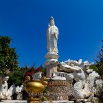 tinh xa ngoc hoa (22)