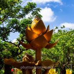 tinh xa ngoc hoa (26)
