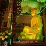 tinh xa ngoc hoa (34)