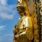 tinh xa ngoc hoa (46)
