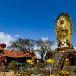 tinh xa ngoc hoa (5)