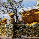 tinh xa ngoc hoa (53)