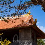 tinh xa ngoc hoa (57)