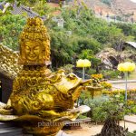 tinh xa ngoc hoa (60)