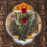 tinh xa ngoc hoa (61)