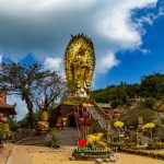 tinh xa ngoc hoa (63)