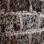 tinh xa ngoc hoa (66)