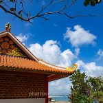 tinh xa ngoc hoa (72)