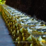 tinh xa ngoc hoa (73)