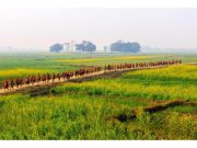 Chùm ảnh 200 tu sĩ đi bộ vì hòa bình băng qua dãy Himalayas