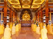 TP.HCM: Chùm ảnh Lãnh đạo Phật giáo TP.HCM tác pháp an cư PL.2564