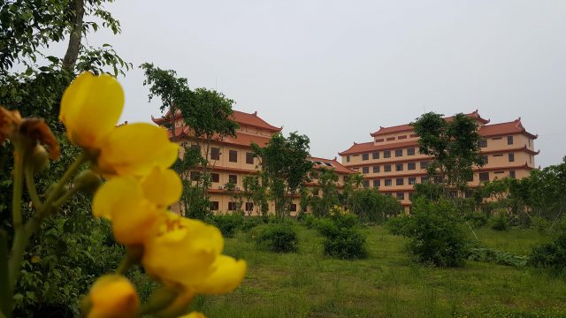 17016856_197868527365443_1523145917087844414_o