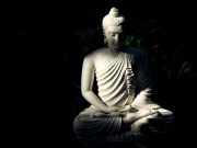 Trong một nắm tay