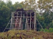 Tìm hiểu về di tích Phật viện Đồng Dương