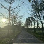 hoàng hôn miền quê vaisali (2)