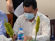 Bà Nguyễn Phương Hằng tố cáo ông Võ Hoàng Yên “lừa đảo, chiếm đoạt tài sản”