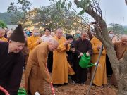 Phủ xanh “Vườn Thượng Uyển” tại Học viện Phật giáo