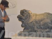 Băn khoăn lúng túng trong việc quản lý nhà nước về linh vật ngoại lai