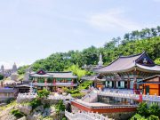 Khám phá ngôi chùa cổ bên bờ biển ở Busan, Hàn Quốc