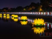 TP.HCM: 7 đóa sen vàng lung linh kính mừng Đại lễ Phật đản PL.2565