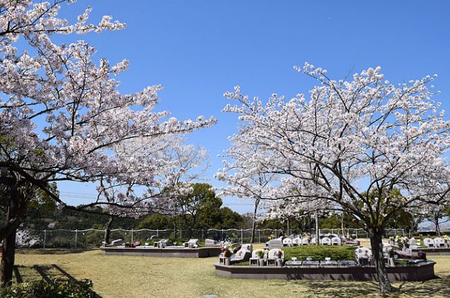 20160614-054027_U1085_M165248_dca5