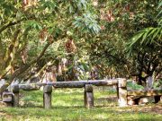 Độc đáo không gian đá cổ