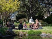 Khi bạn cảm thấy biết ơn, bạn không còn đau khổ