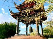 Mỉm cười với năng lượng tập khí của bạn