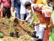 Ấn Độ: Xây công viên từ tro cốt nạn nhân Covid-19