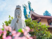 Kêu gọi cùng trì tụng 1 triệu biến chú Đại Bi