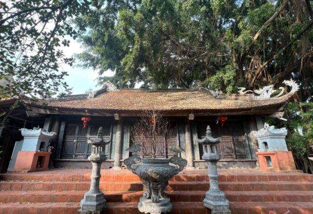 screenshot_1645068565