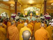 Tưởng niệm lần thứ 8, Đức Trưởng lão Hòa thượng Thích Trí Tịnh viên tịch