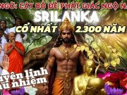 Viếng những báu vật di sản Phật giáo khắp thế giới, phần 1