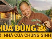 Địa Tạng Phi Lai tự: Ngôi chùa cổ với triết lý “Mộc” được xây bởi nhà sư giấu mặt