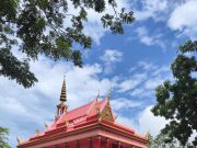 Ngôi chùa màu hồng rực rỡ, có hàng cây cổ thụ hiếm thấy ở An Giang