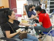 Hàng trăm Tăng Ni Phật tử tham gia “Hiến máu cứu người – Hành Bồ Tát đạo” tại chùa Quán Sứ