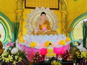 Cần Thơ: Lễ An vị Phật và Vu lan Báo hiếu PL.2569 tại Chùa Phổ Hiền