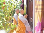 Giới tử Ni cầu giới đại Tăng tại Đại giới đàn Chơn Thành