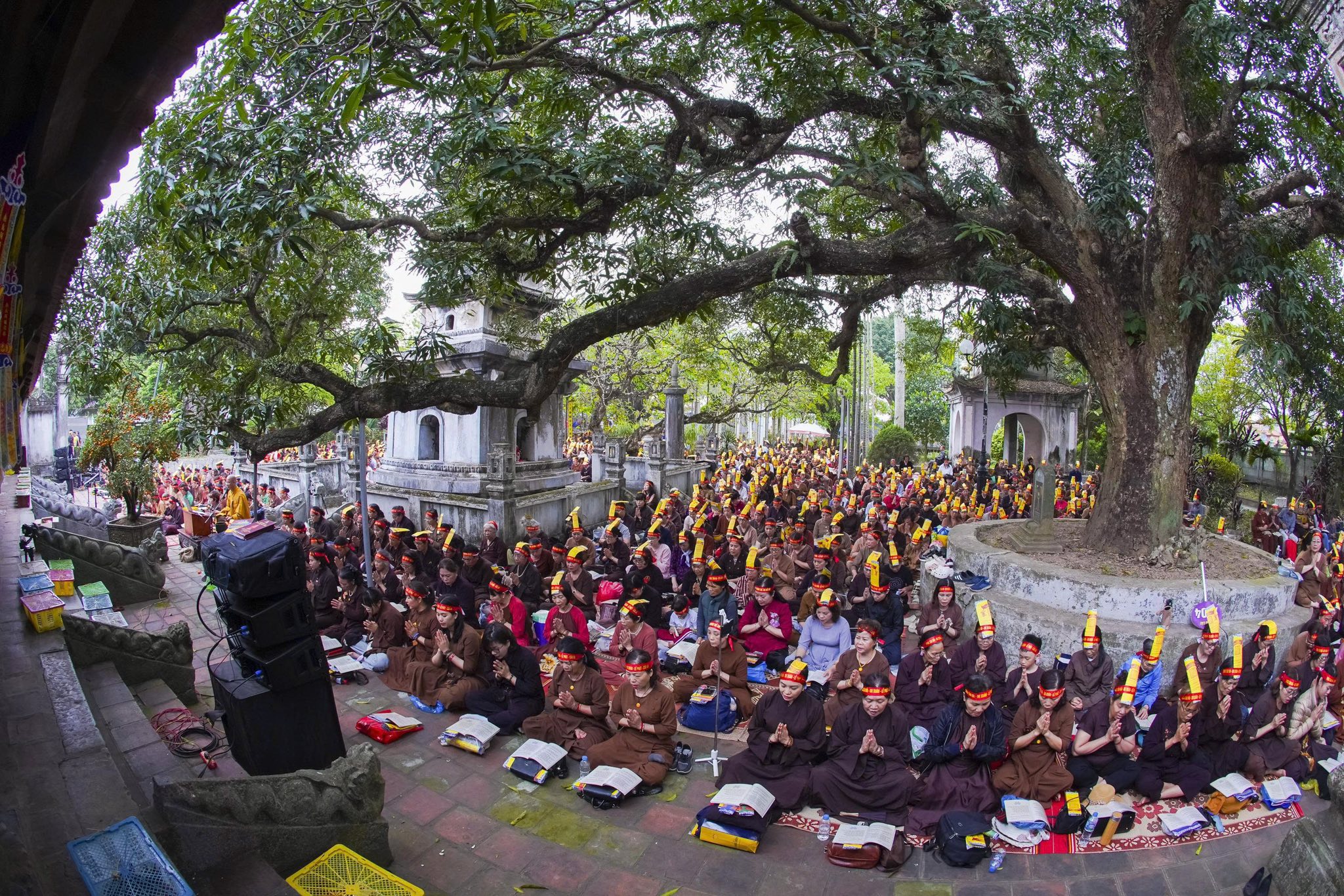 Ninh Bình: Chùa Tân Hải tiếp tục tổ chức hành hương tu học đầu xuân Bính Ngọ – 2026插图24